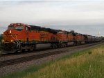 BNSF 7302 East